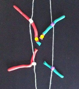 The bit of chromosome between them gets stretched and can break.